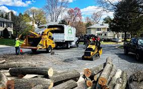 Best Leaf Removal  in Oronogo, MO